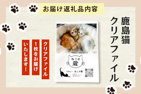 鹿島猫クリアファイル｜保護猫カフェねこの蔵 クリアファイル 保護猫 猫 古民家カフェ 支援 鹿島市 猫カフェ カフェ プレゼント　AA-63