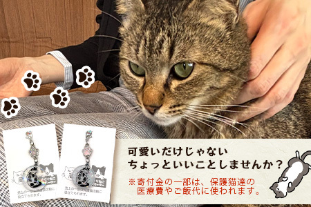 鹿島猫チャーム｜保護猫カフェねこの蔵 チャーム 保護猫 猫 古民家カフェ 支援 鹿島市 猫カフェ カフェ プレゼント　AA-64