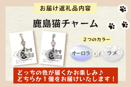 鹿島猫チャーム｜保護猫カフェねこの蔵 チャーム 保護猫 猫 古民家カフェ 支援 鹿島市 猫カフェ カフェ プレゼント　AA-64