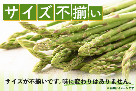 新鮮朝獲れ！！鹿島市産 アスパラガス 合計500g 【美味しい野菜で彩を】アスパラ 野菜 やさい 九州 国産 佐賀　B-854