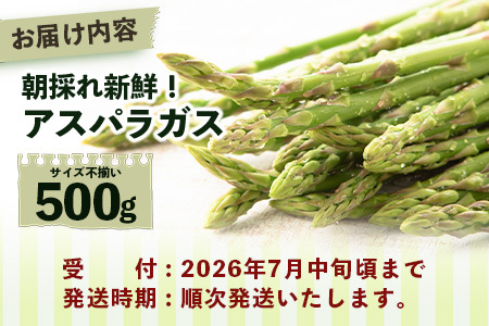 新鮮朝獲れ！！鹿島市産 アスパラガス 合計500g 【美味しい野菜で彩を】アスパラ 野菜 やさい 九州 国産 佐賀　B-854