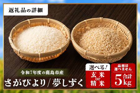 令和7年産 鹿島市産 [さがびよりor夢しずく] 5kg 1袋 【品種指定不可】 玄米 精米 10月初旬から発送開始予定　C-154