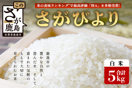 【鹿島市産】＼生産者直送／ さがびより 白米5kg　さがびより 佐賀県産さがびより 佐賀県鹿島市 お米 米 精米 玄米 ふるさと納税 お米 ご家庭用米 主食ギフト 美味しいお米 お取り寄せ 贈答用米 食卓応援　C-153