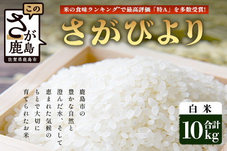 【鹿島市産】＼生産者直送／ さがびより 白米10kg　さがびより 佐賀県産さがびより 佐賀県鹿島市 お米 米 精米 玄米 ふるさと納税 お米 ご家庭用米 主食ギフト 美味しいお米 お取り寄せ 贈答用米 食卓応援　D-250