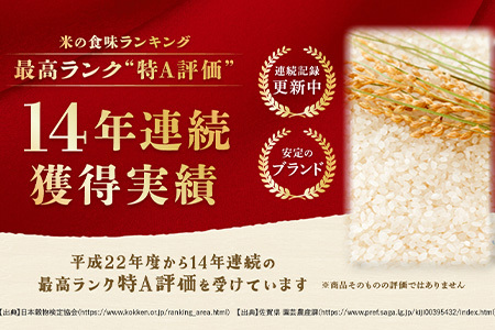 【鹿島市産】＼生産者直送／ さがびより 白米10kg　さがびより 佐賀県産さがびより 佐賀県鹿島市 お米 米 精米 玄米 ふるさと納税 お米 ご家庭用米 主食ギフト 美味しいお米 お取り寄せ 贈答用米 食卓応援　D-250