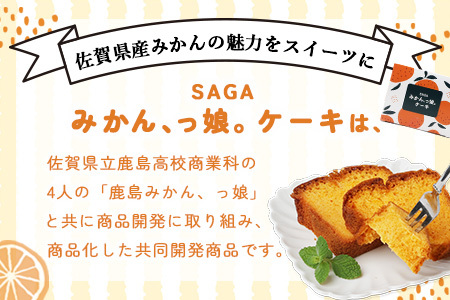 SAGAみかん、っ娘。ケーキ 2箱（合計8個入り）A-219 スイーツ ケーキ 焼き菓子 焼菓子 みかん ミカン 蜜柑 みかんケーキ ミカンケーキ お土産 ご当地スイーツ プレゼント ギフト おみやげ