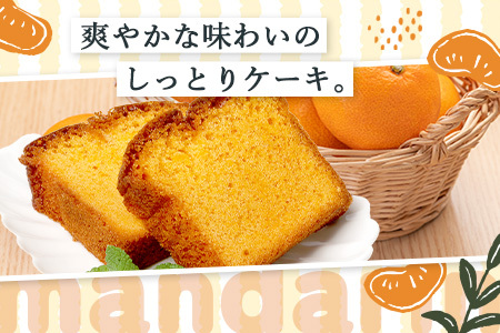 SAGAみかん、っ娘。ケーキ 2箱（合計8個入り）A-219 スイーツ ケーキ 焼き菓子 焼菓子 みかん ミカン 蜜柑 みかんケーキ ミカンケーキ お土産 ご当地スイーツ プレゼント ギフト おみやげ