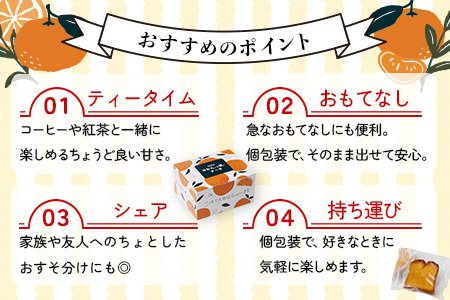 SAGAみかん、っ娘。ケーキ 2箱（合計8個入り）A-219 スイーツ ケーキ 焼き菓子 焼菓子 みかん ミカン 蜜柑 みかんケーキ ミカンケーキ お土産 ご当地スイーツ プレゼント ギフト おみやげ