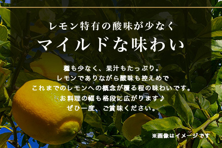 国産 オーガニック大玉レモン (璃の香) 約3kg B-879