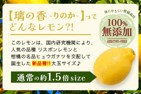 国産 オーガニック大玉レモン (璃の香) 約3kg B-879