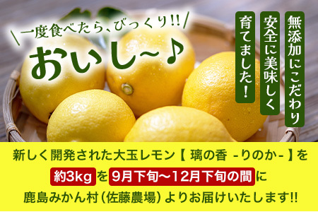 国産 オーガニック大玉レモン (璃の香) 約3kg B-879