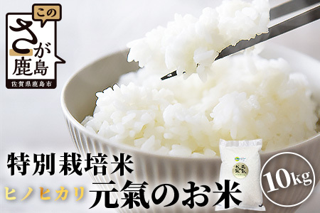 【令和7年産 お米10kg|ヒノヒカリ 白米】【生産者直送】幸せと笑顔を届ける元氣のお米｜佐賀県特別栽培農産物｜化学農薬・化学肥料不使用｜新米 精米 有機肥料 佐賀県 鹿島市 D-219