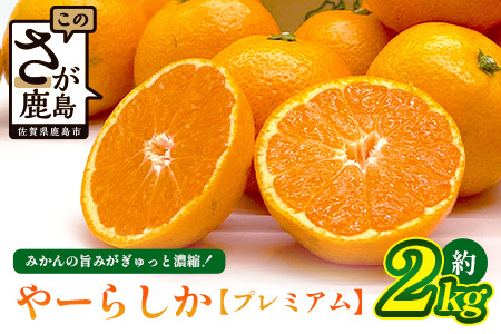 【先行予約】【発送は2026年10月中旬から11月上旬ごろ】やーらしかみかん”プレミアム”約2kg（箱込み重量）｜【数量限定】小粒サイズ ご家庭用｜一口で食べられる濃縮旨み ｜生産者直送 国産 佐賀県産 ミカン 蜜柑 果物 フルーツ 送料無料 A-224