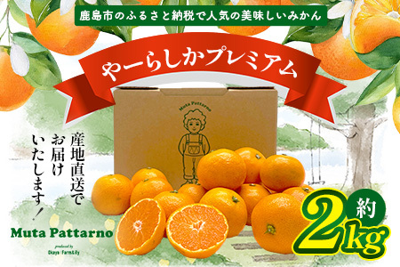 【先行予約】【発送は2026年10月中旬から11月上旬ごろ】やーらしかみかん”プレミアム”約2kg（箱込み重量）｜【数量限定】小粒サイズ ご家庭用｜一口で食べられる濃縮旨み ｜生産者直送 国産 佐賀県産 ミカン 蜜柑 果物 フルーツ 送料無料 A-224