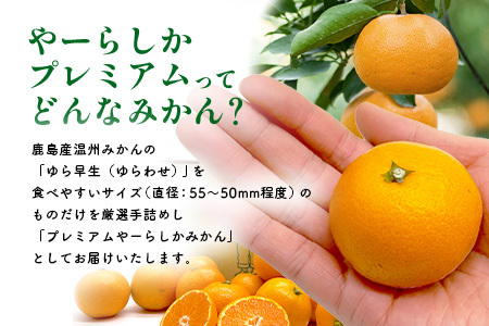 【先行予約】【発送は2026年10月中旬から11月上旬ごろ】やーらしかみかん”プレミアム”約2kg（箱込み重量）｜【数量限定】小粒サイズ ご家庭用｜一口で食べられる濃縮旨み ｜生産者直送 国産 佐賀県産 ミカン 蜜柑 果物 フルーツ 送料無料 A-224