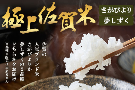 令和7年産 鹿島市産 [さがびよりor夢しずく] 30kg 1袋 【品種指定不可】 玄米 精米  J-32