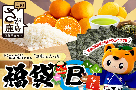 あなたのふるさとKashiMartが贈る「お米」の入った福袋B D-282 新年 年末 お正月 年始 佐賀 鹿島 九州 米 こめ コメ 精米 海苔 みかん レモン 25,550円