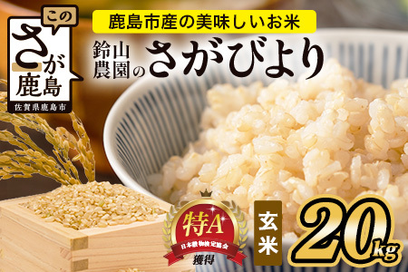 鈴山農園こだわり さがびより 玄米 20kg F-90 佐賀県 鹿島市 お米