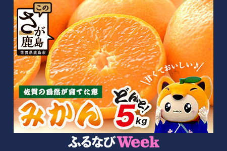 【先行予約】【発送は2026年9月中旬から10月上旬ごろ】佐賀県産みかん”約5kg（箱込み重量）｜【数量限定】混合サイズ｜濃縮旨み ｜ 国産 佐賀県産 ミカン 蜜柑 果物 フルーツ 送料無料 A-227