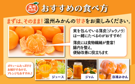 【先行予約】【発送は2026年9月中旬から10月上旬ごろ】佐賀県産みかん”約10kg(箱込み重量)|【数量限定】混合サイズ|濃縮旨み | 国産 佐賀県産 ミカン 蜜柑 果物 フルーツ 送料無料 B-894