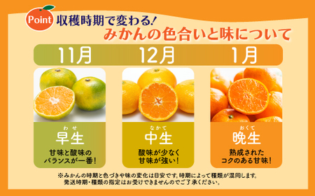 【先行予約】【発送は2026年9月中旬から10月上旬ごろ】佐賀県産みかん”約10kg(箱込み重量)|【数量限定】混合サイズ|濃縮旨み | 国産 佐賀県産 ミカン 蜜柑 果物 フルーツ 送料無料 B-894