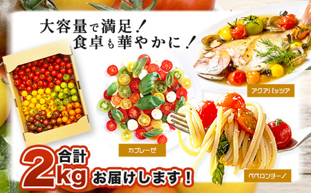 岩永さんちの カラフル ミニトマト 5色 約2kg（1kg箱×2） |【農林水産大臣賞受賞】有機肥料・化学肥料不使用 | 生産者直送 野菜 トマト 2kg とまと プチトマト サラダ やさい 旬 新鮮 おやつ お弁当 人気 送料無料 佐賀県 鹿島市 C-185