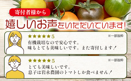 岩永さんちの カラフル ミニトマト 5色 約2kg（1kg箱×2） |【農林水産大臣賞受賞】有機肥料・化学肥料不使用 | 生産者直送 野菜 トマト 2kg とまと プチトマト サラダ やさい 旬 新鮮 おやつ お弁当 人気 送料無料 佐賀県 鹿島市 C-185