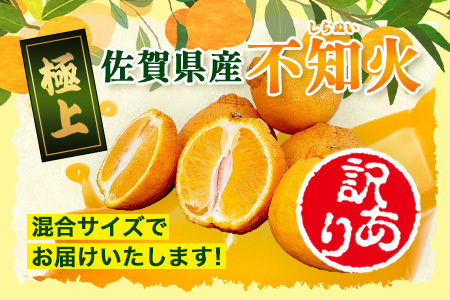 B-896【訳あり】 佐賀産不知火 約10kg（箱込み）佐賀県 鹿島市