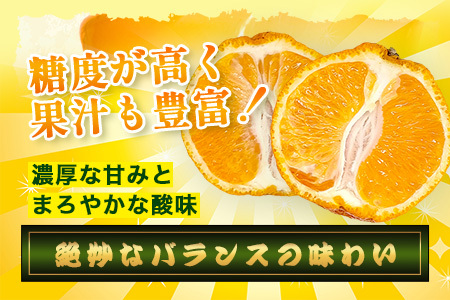 B-896【訳あり】 佐賀産不知火 約10kg（箱込み）佐賀県 鹿島市