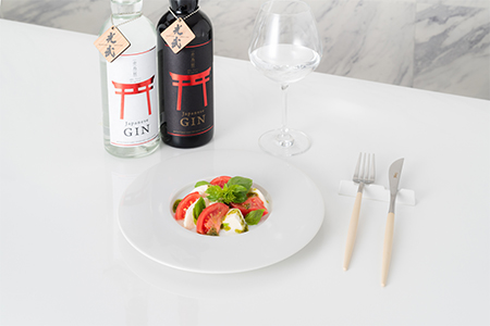  クラフトジン赤鳥居飲み比べ700ml×2本(オリジナル・プレミアム) D-157