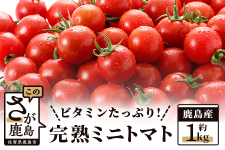 【先行予約】 たにぐちファーム 完熟ミニトマト 約1kg 『Ricotomato とりこになるトマト』とまと トマト ミニトマト みずみずしいトマト  ビタミンたっぷりトマト  B-324