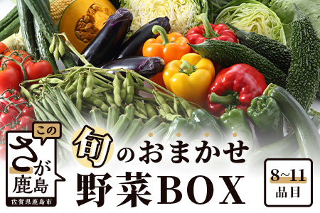  旬のおまかせ野菜BOXセット 旬の野菜 詰め合わせ 野菜 新鮮 野菜 8～11品目 AA-4