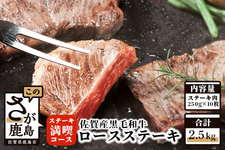   【熟成肉『ステーキ満喫』コース】佐賀県産黒毛和牛　ロースステーキ２５０ｇ×１０枚 V-7