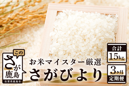 新米  定期便 3ヶ月 佐賀県産 さがびより 白米 5kg《3ヶ月連続 毎月お届け》D-63 3回 令和7年産