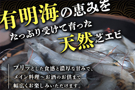 冷凍芝エビ500g・冷凍シジミ500g AA-19