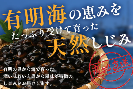 冷凍芝エビ500g・冷凍シジミ500g AA-19