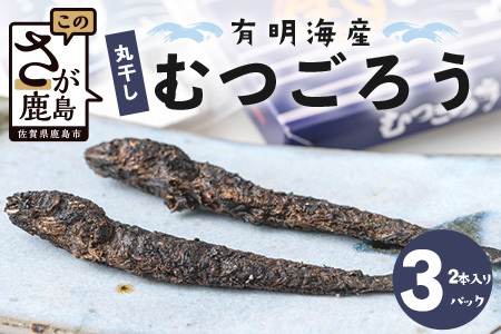 丸干しむつごろう 2本入り×3袋 むつごろう ムツゴロウ おやつ おつまみ 温め不要 調理不要 有明海産 佐賀県 鹿島市 送料無料 A-29