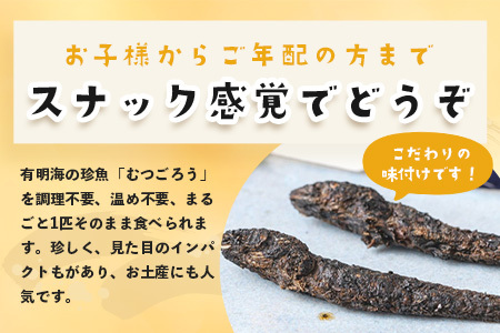 丸干しむつごろう 2本入り×3袋 むつごろう ムツゴロウ おやつ おつまみ 温め不要 調理不要 有明海産 佐賀県 鹿島市 送料無料 A-29