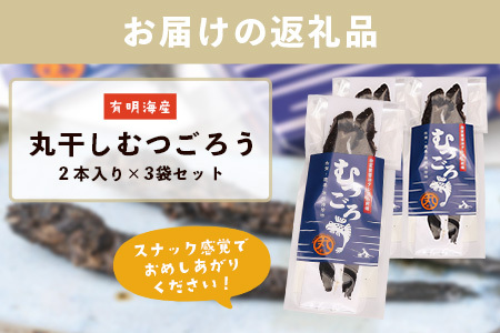 丸干しむつごろう 2本入り×3袋 むつごろう ムツゴロウ おやつ おつまみ 温め不要 調理不要 有明海産 佐賀県 鹿島市 送料無料 A-29