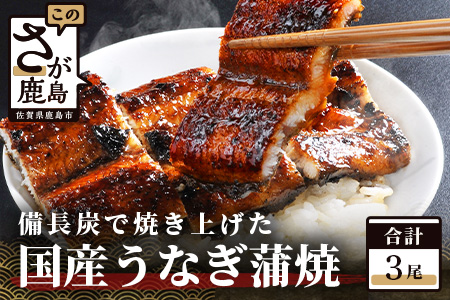 国産 うなぎの蒲焼【３尾入り】【うなぎ 秘伝のタレ付き 鰻の蒲焼 密封パック入り 国産 うなぎ蒲焼 ウナギ 備長炭 うなぎ 丑の日】 E-5