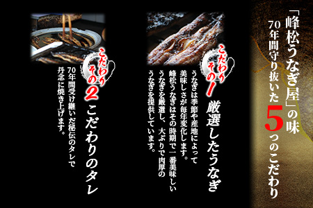 国産 うなぎの蒲焼【３尾入り】【うなぎ 秘伝のタレ付き 鰻の蒲焼 密封パック入り 国産 うなぎ蒲焼 ウナギ 備長炭 うなぎ 丑の日】 E-5