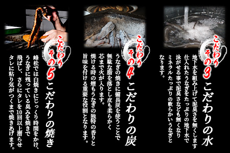 国産 うなぎの蒲焼【３尾入り】【うなぎ 秘伝のタレ付き 鰻の蒲焼 密封パック入り 国産 うなぎ蒲焼 ウナギ 備長炭 うなぎ 丑の日】 E-5