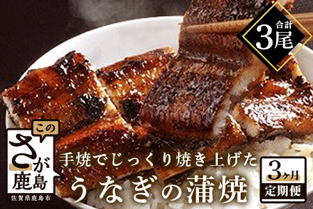 国産 うなぎの蒲焼 １尾入り【３か月定期便】【うなぎ 秘伝のタレ付き 鰻の蒲焼 密封パック入り 国産 うなぎ蒲焼 ウナギ 備長炭 うなぎ定期便 毎月届くウナギのかば焼き定期便】 E-81