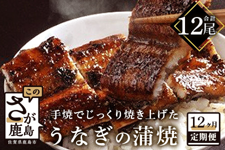 国産 うなぎの蒲焼 １尾入り【１２か月定期便】 【うなぎ 秘伝のタレ付き 鰻の蒲焼 密封パック入り 国産 うなぎ蒲焼 ウナギ 備長炭 うなぎ定期便 毎月届くウナギのかば焼き定期便】 P-5