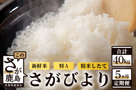 新鮮米】佐賀県鹿島市産さがびより 白米8kg定期便（５か月お届け） I