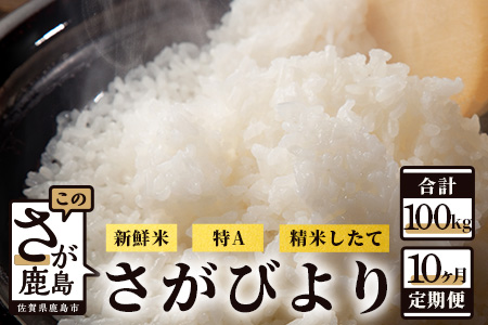 【新鮮米】佐賀県鹿島市産さがびより 白米10kg（5kg×2）定期便（１０か月お届け） Q-3