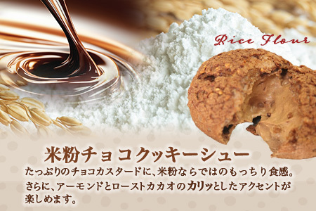  お米のシュークリーム詰め合わせ（プレーン３個・チョコ２個） AA-41