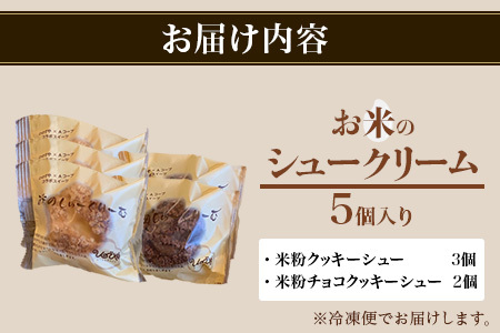  お米のシュークリーム詰め合わせ（プレーン３個・チョコ２個） AA-41