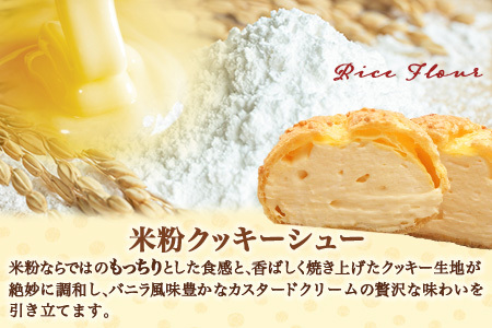  米粉のクッキーシューと米粉のチョコクッキーシュー10個詰め合わせ B-480