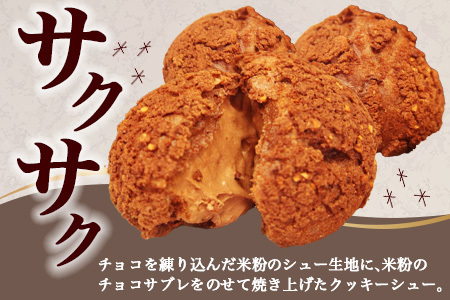  お米のチョコシュークリーム　５個入り  AA-26